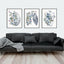 Anatomy Prints Set of 3