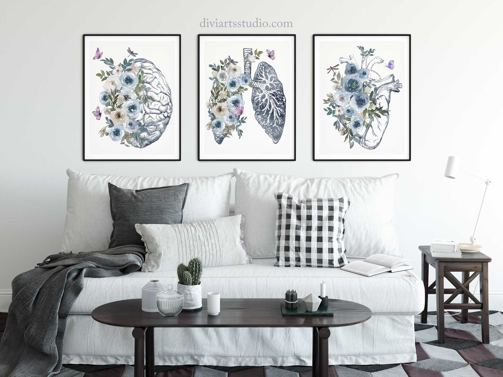 Anatomy wall art prints Set