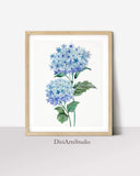 Blue Botanical Wall Art, Captivating Hydrangea Art Print