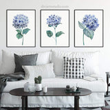 Hydrangea Art Print, Botanical Print Set of 3 Prints