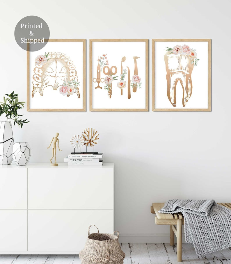 Dentist office decor, Dental wall art, Tooth Floral Anatomy, set of 3 Prints, Dentist Clinic Art