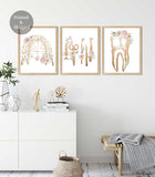 Dentist office decor, Dental wall art, Tooth Floral Anatomy, set of 3 Prints, Dentist Clinic Art