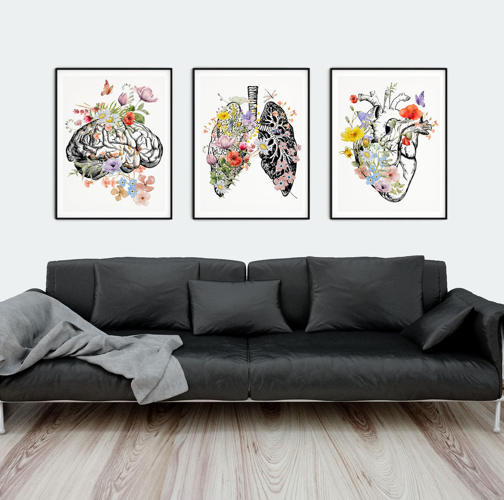 Anatomy Art in Interior Design: Incorporating Medical Illustrations Into Your Decor