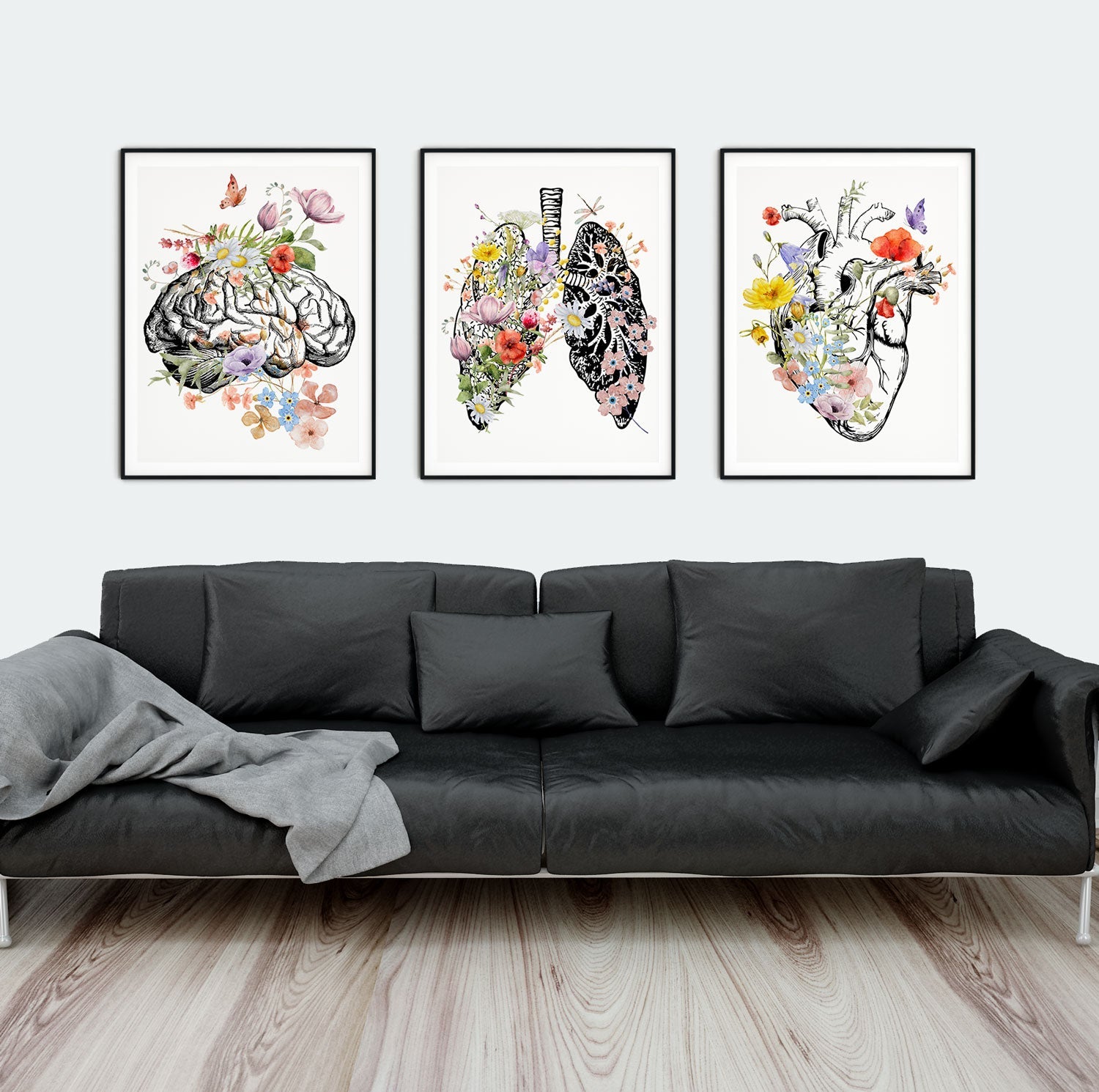 anatomy art prints set