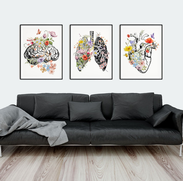 Arte anatómico en el diseño de interiores: incorporando ilustraciones médicas en su decoración