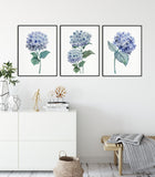 Watercolour Hydrangea Art Print, Botanical Print Set of 3 Prints, living room wall art decor