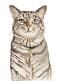 Custom Cat portrait painting watercolor