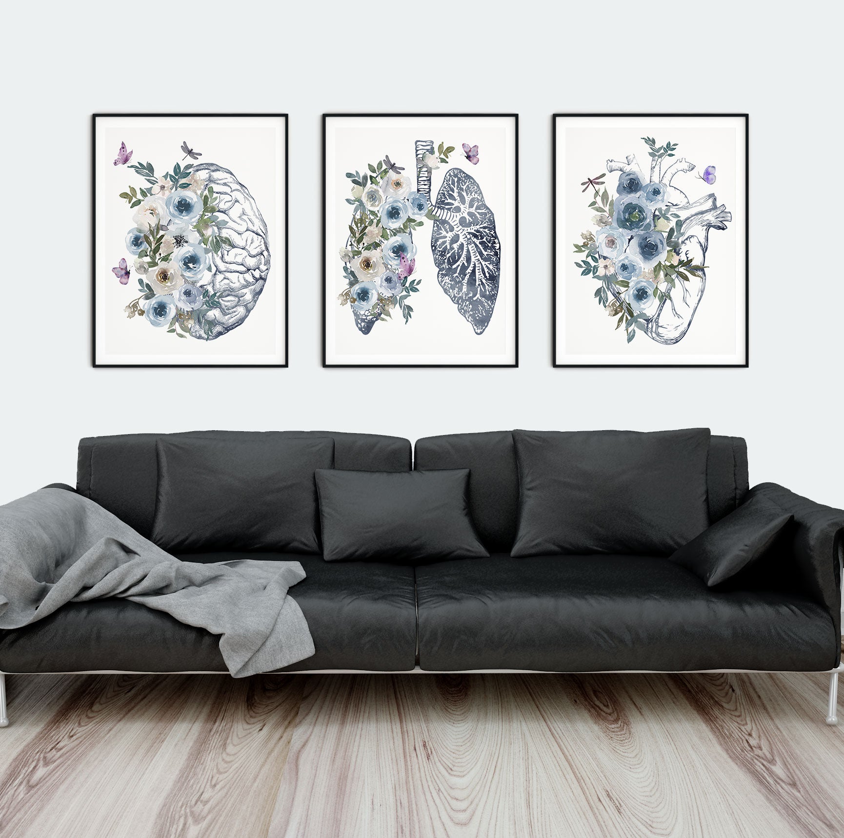 Anatomy Prints Set of 3 Main image