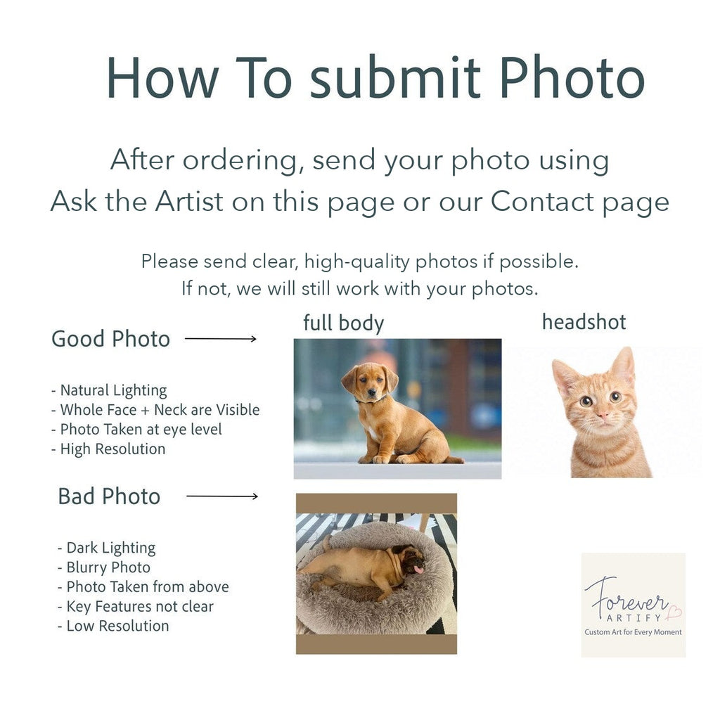 Guide to sending your pet photo after ordering, with good and bad photo examples
