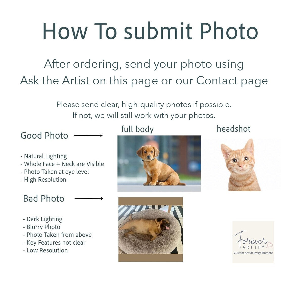 Guide to sending your pet photo after ordering, with good and bad photo examples