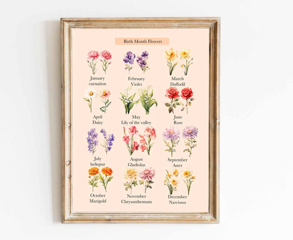 Birth month flowers chart: January carnation to December narcissus, one watercolour flower for each month