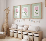 Pink Hydrangea Print, Set of 3 Pink and green wall art, Stripes Coastal Decor, Nursery Grand millennial Poster, Watercolour Floral Painting