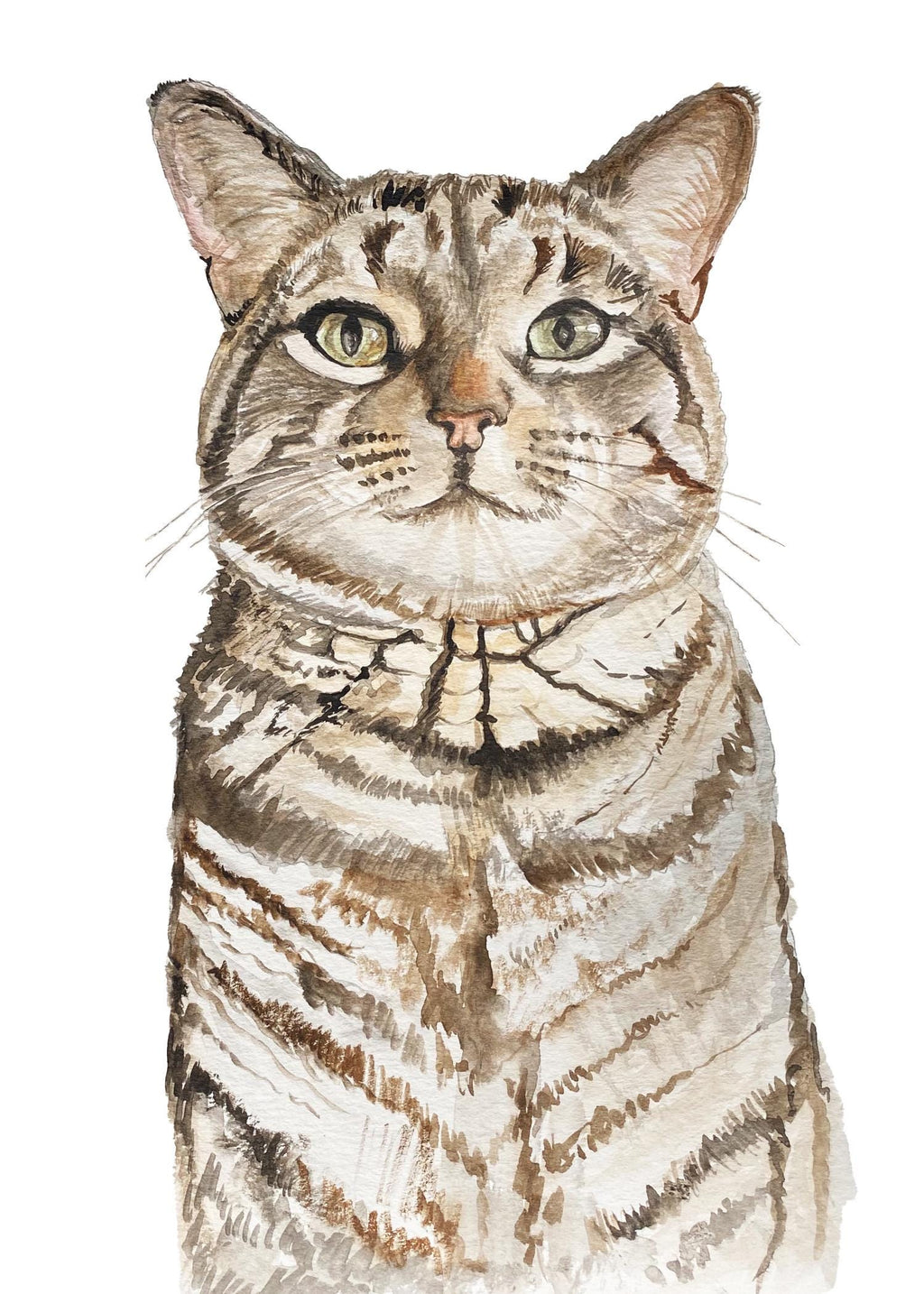 Watercolour cat portrait from a photo: a grey tabby cat with green eyes, head and chest