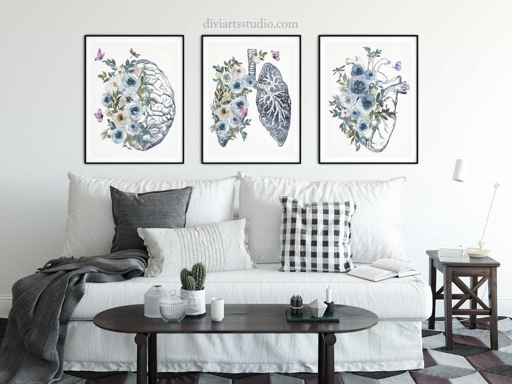 Anatomy wall art prints Set