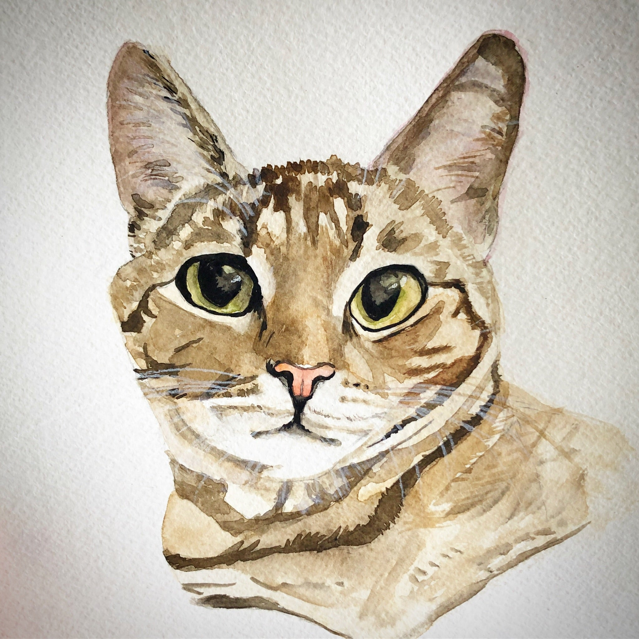 Custom Watercolor Pet / Human Portraits