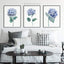 Hydrangea Art Print, Botanical Print Set of 3 Prints