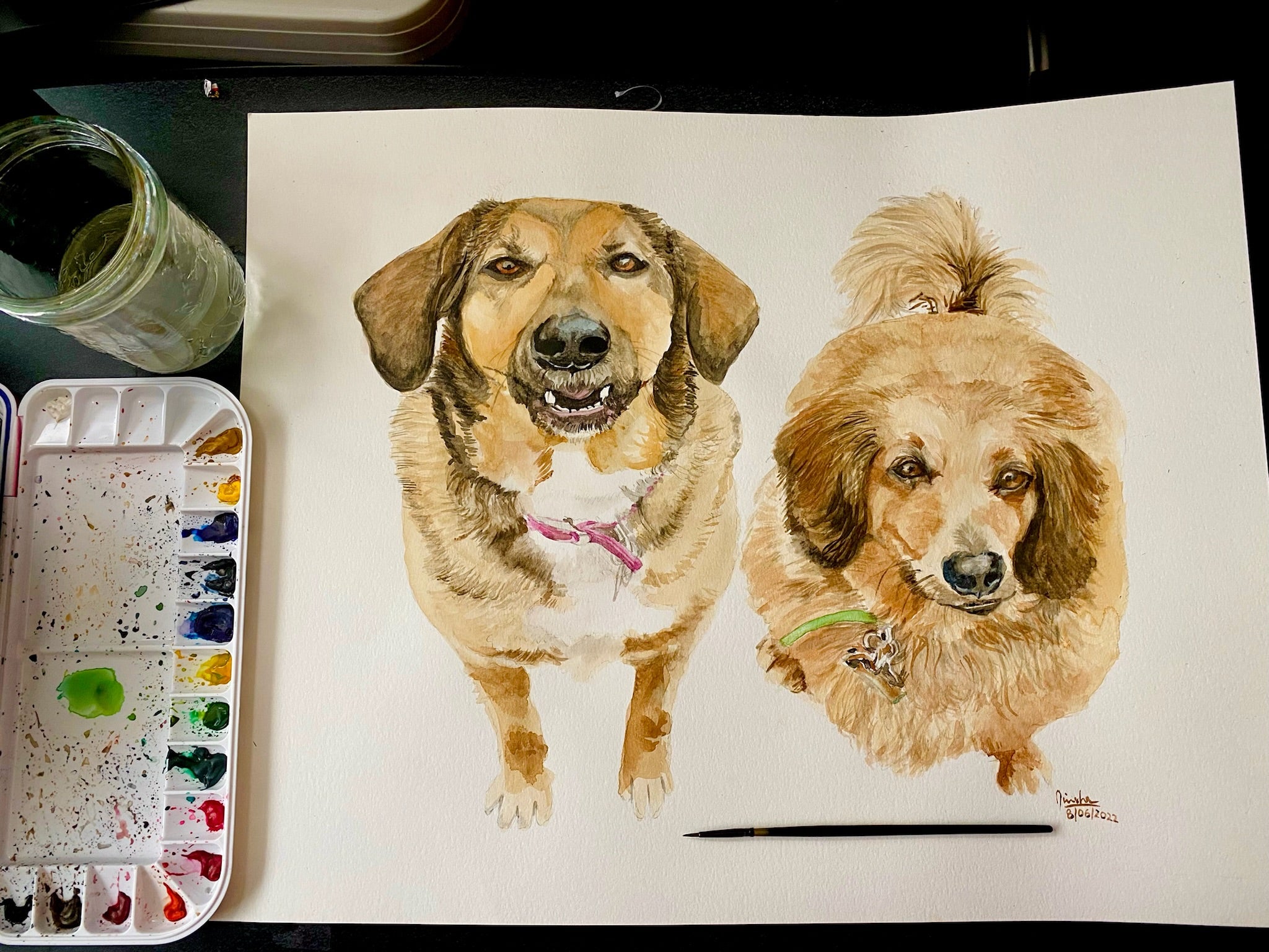 Custom Watercolor Pet / Human Portraits