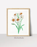 Spring Floral Art, White Flower Wall Art Print