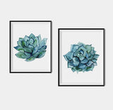 Succulent Flower Wall Art, Set of 2 Printed Wall Arts