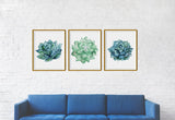 Succulent Flower Wall Art, Set of 3 Printed Wall Arts