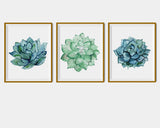 Succulent Flower Wall Art, Set of 3 Printed Wall Arts