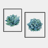 Succulent Wall Art, Cactus Art Print Set of 2 Prints