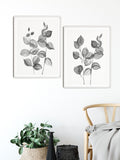 Black and white Botanical prints, Eucalyptus wall art, Set of 2 prints, Eucalyptus Art Prints, Living room decor, Hallway decor