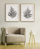Fern Print Black and white, Botanical Leaf Prints Set, Living Room Wall Art, Fern Leaf Illustration, Printed and shipped