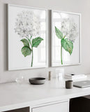 White Hydrangea Watercolor Print, White Botanical Print Set of 3, Hydrangea painting, Hydrangea Print, Flower Wall Art