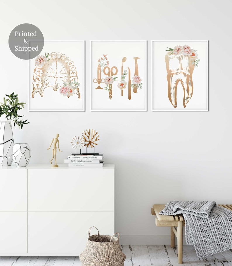 Dentist office decor, Dental wall art, Tooth Floral Anatomy, set of 3 Prints, Dentist Clinic Art Main image