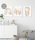 Dentist office decor, Dental wall art, Tooth Floral Anatomy, set of 3 Prints, Dentist Clinic Art