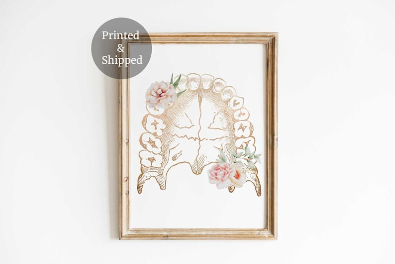 Dental art, Tooth anatomy, Dentist office decor, Floral Anatomical Teeth, Dental Hygienist, Dentistry Wall Art Print, Dentist gifts Main image
