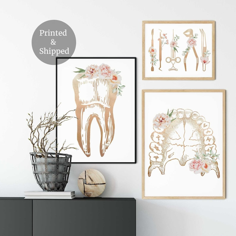 Dentist office decor,,Dentistry Art, Dental wall art, Tooth Floral Anatomy, Set of 3 Prints, Dentist Clinic Art, Dentist student gifts Main image